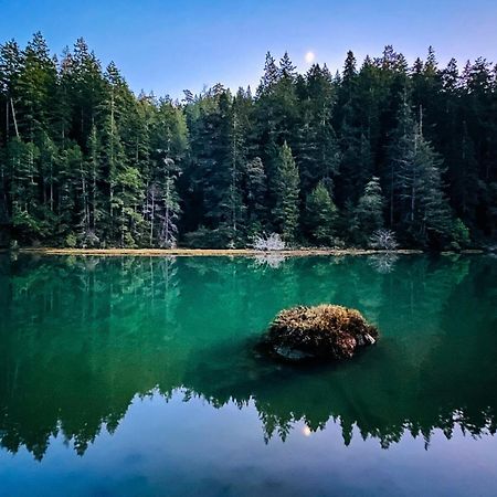 Mendocino Redwood Retreat - Vista Home Albion Екстер'єр фото