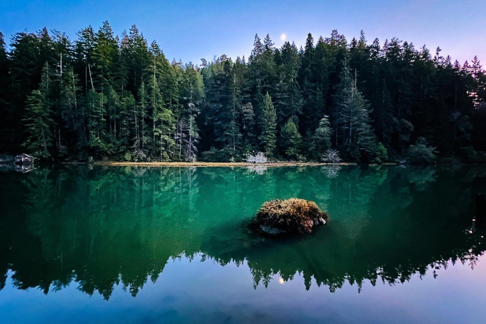 Mendocino Redwood Retreat - Vista Home Albion Екстер'єр фото