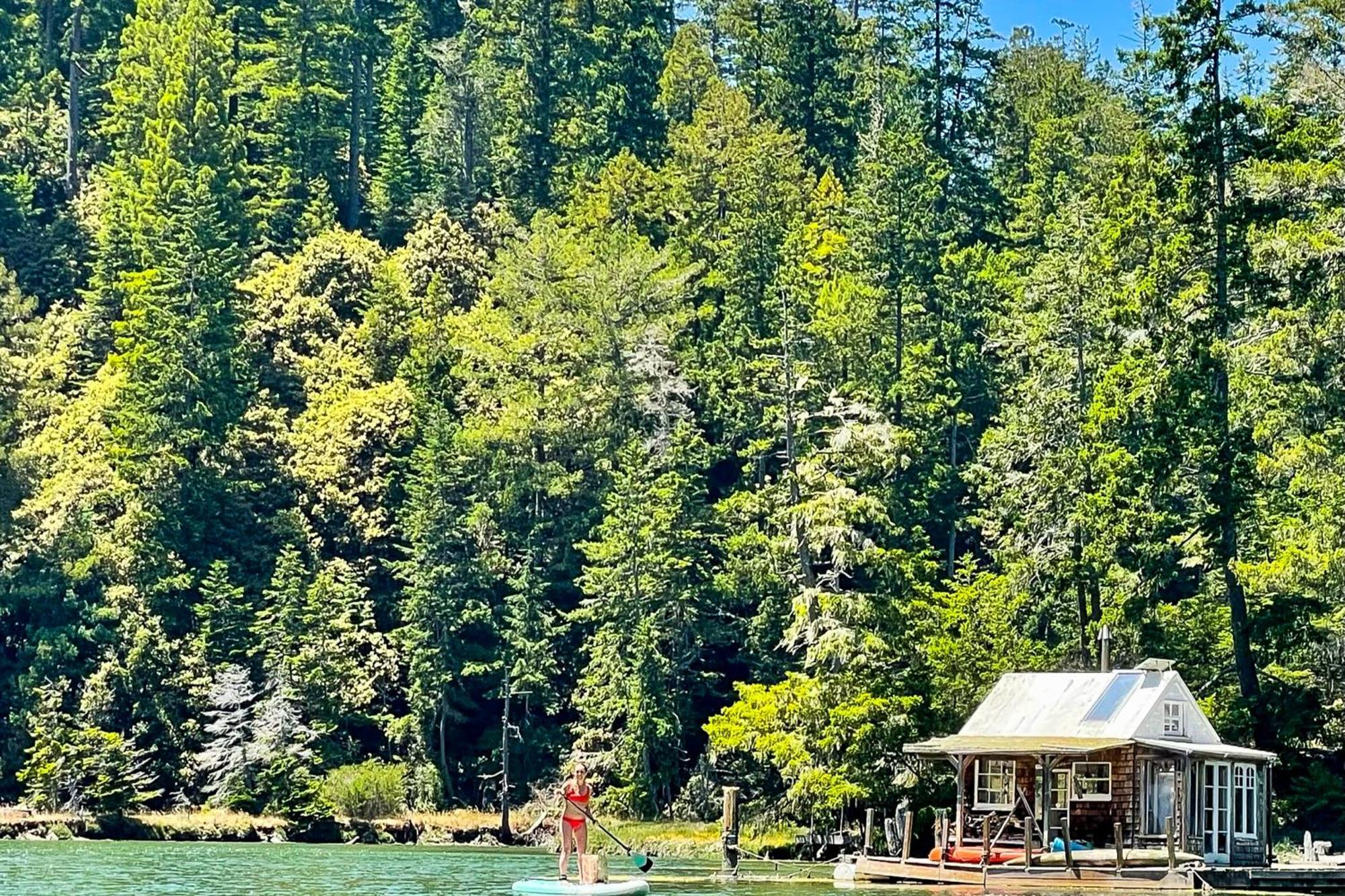 Mendocino Redwood Retreat - Vista Home Albion Екстер'єр фото