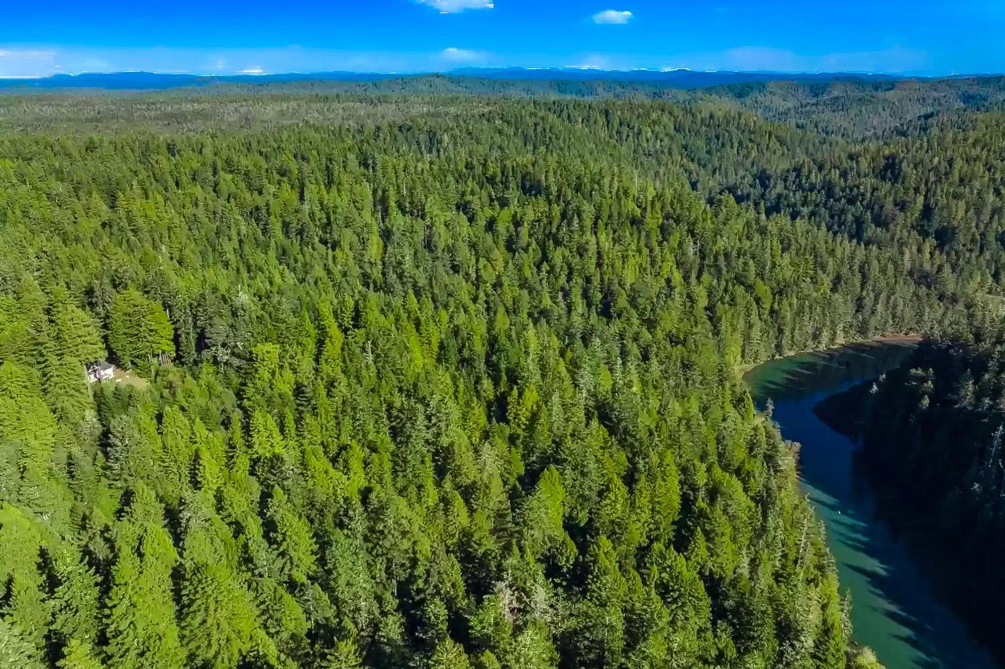 Mendocino Redwood Retreat - Vista Home Albion Екстер'єр фото