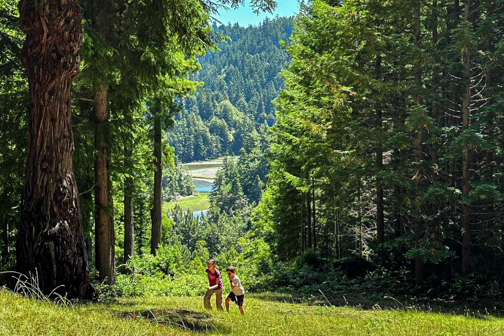 Mendocino Redwood Retreat - Vista Home Albion Екстер'єр фото